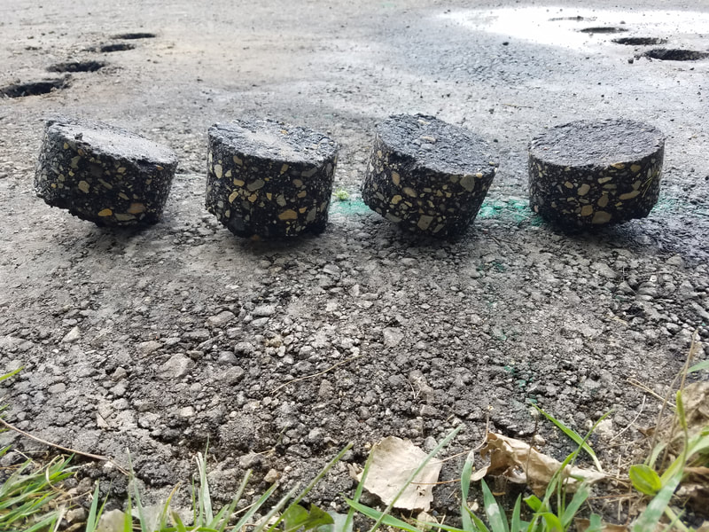 August 2021 Project 1