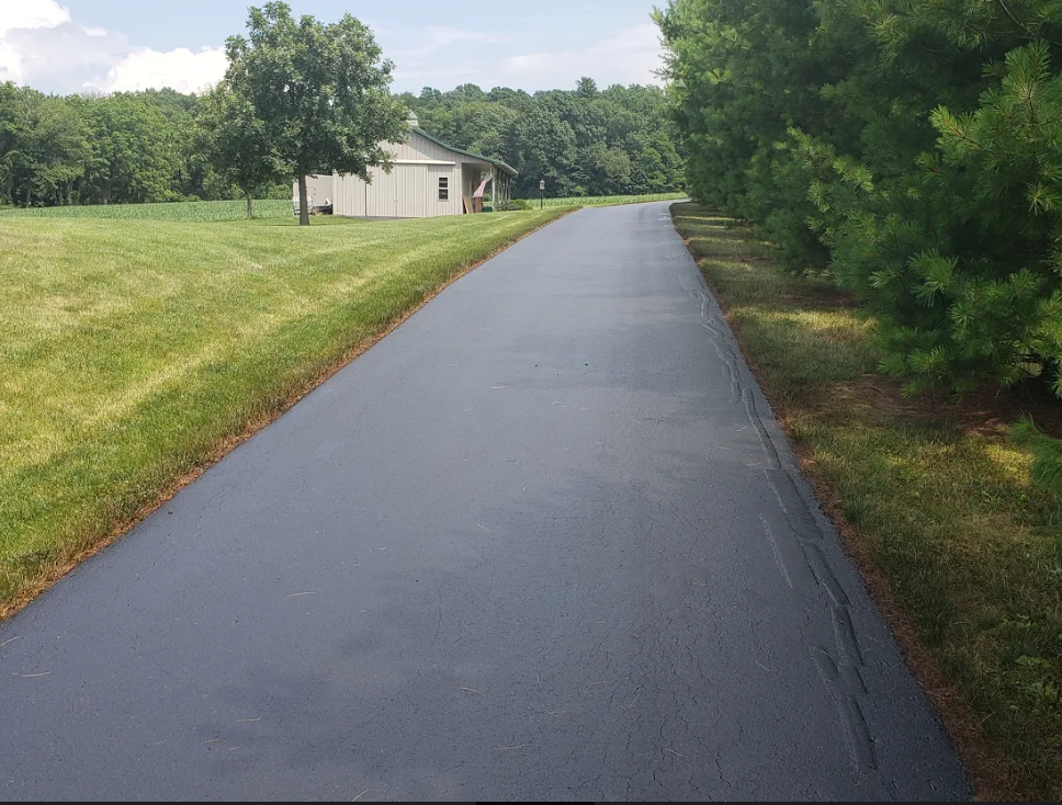 Frank Canepa Driveway 3