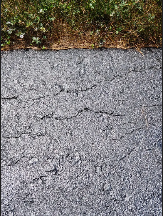 Frank Canepa Driveway 5